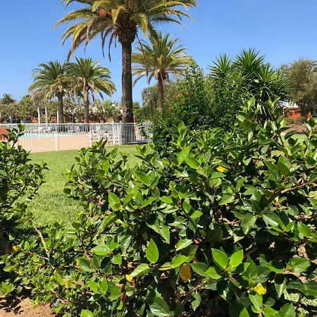 Tc Melocotones 15 Kemping Maspalomas (Gran Canaria)