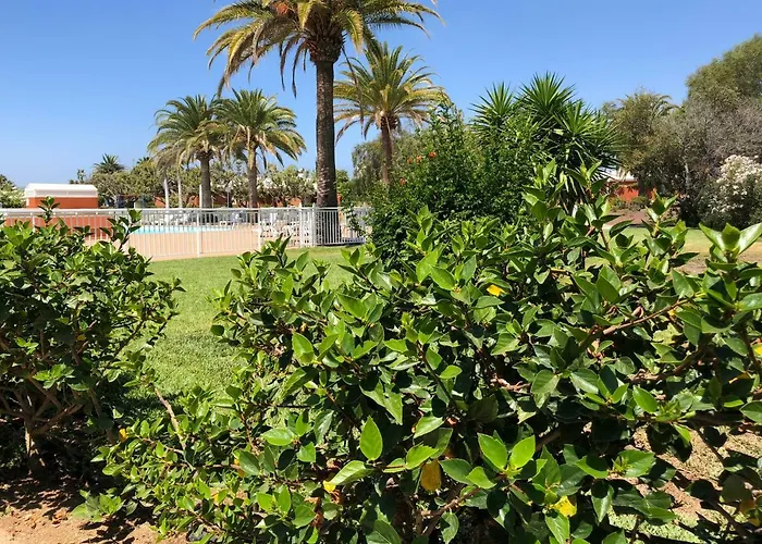 Tc Melocotones 15 Camping Maspalomas (Gran Canaria)