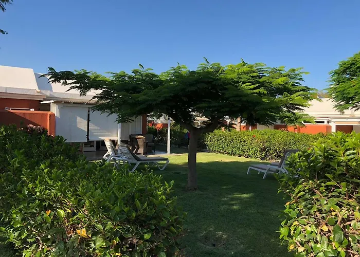 Tc Melocotones 15 Camping